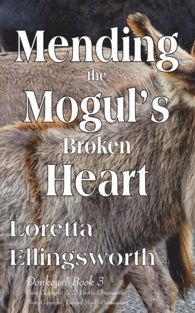 Loretta Ellingsworth - Mending the Mogul's Broken Heart, E-bok