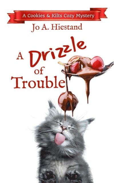 Jo A Hiestand - Drizzle of Trouble, E-bok