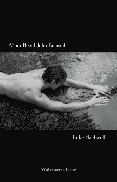 Luke Hartwell - Atom Heart John Beloved, E-bok