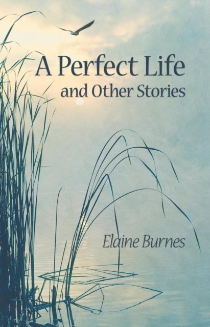Elaine Burnes - Perfect Life and Other Stories, E-bok
