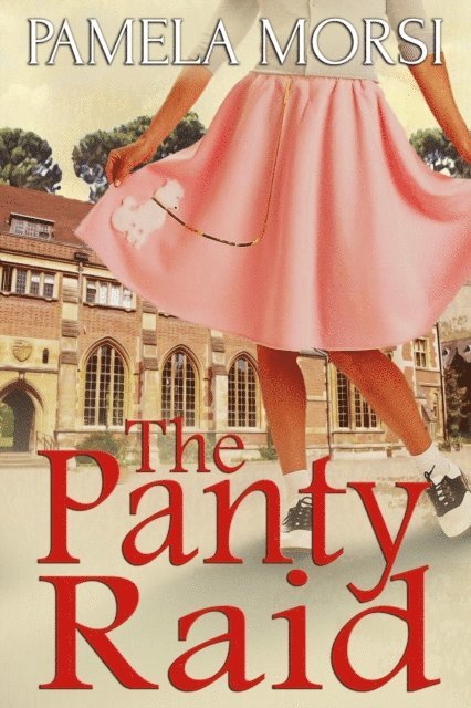 Pamela Morsi - Panty Raid, E-bok