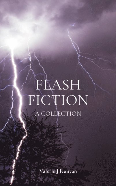 Valerie J Runyan - Flash Fiction, E-bok. Tillgänglighet: Lägg i varukorg