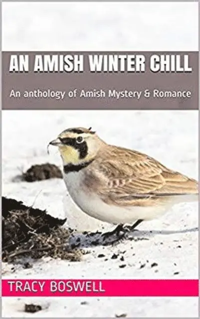 Tracy Boswell - Amish Winter Chill, E-bok. Tillgänglighet: Lägg i varukorg