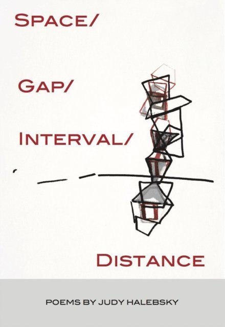 Judy Halebsky - Space/Gap/Interval/Distance, E-bok