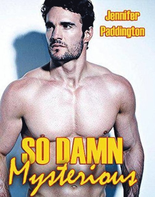 Jennifer Paddington - So Damn Mysterious, E-bok