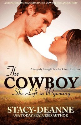 Cowboy She Left in Wyoming