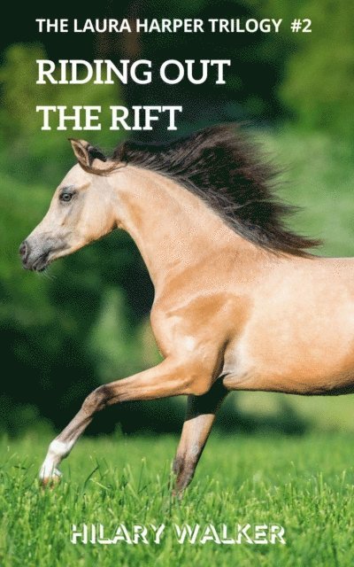 Hilary Walker - Riding Out the Rift, E-bok