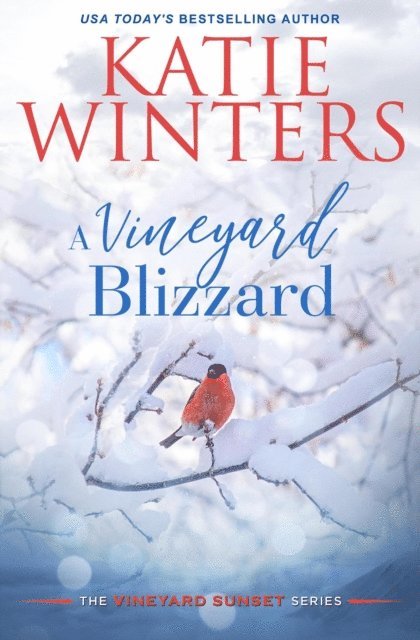 Katie Winters - Vineyard Blizzard, E-bok