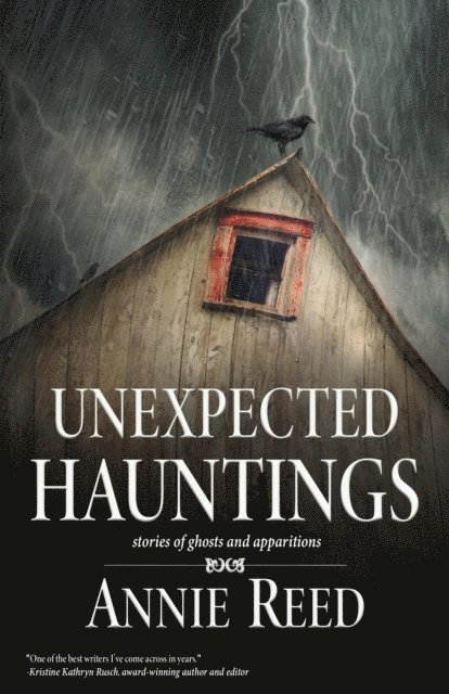 Annie Reed - Unexpected Hauntings, E-bok