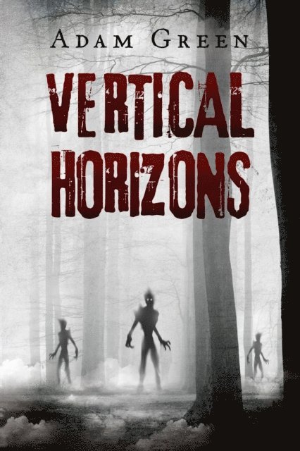 Adam Green - Vertical Horizons, E-bok