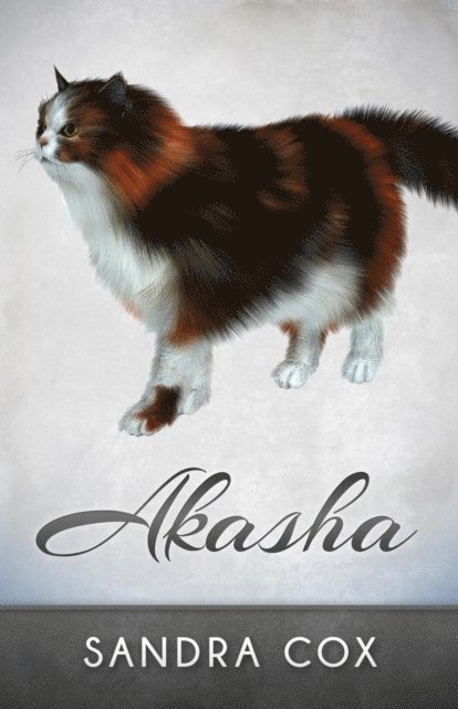 Sandra Cox - Akasha, E-bok