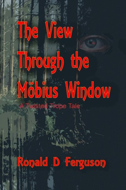 Ronald D Ferguson - View Through the Mobius Window, E-bok