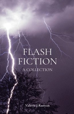 Valerie J Runyan - Flash Fiction, Häftad. Tillgänglighet: Lägg i varukorg