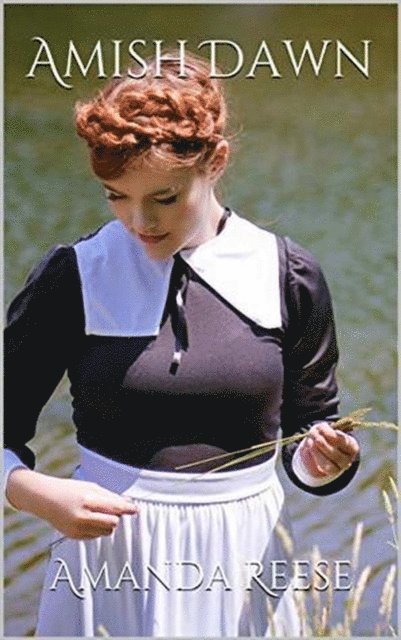 Amanda Reese - Amish Dawn, E-bok