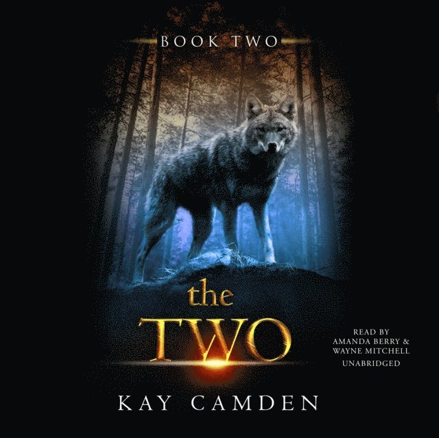 Kay Camden - Two, Ljudbok