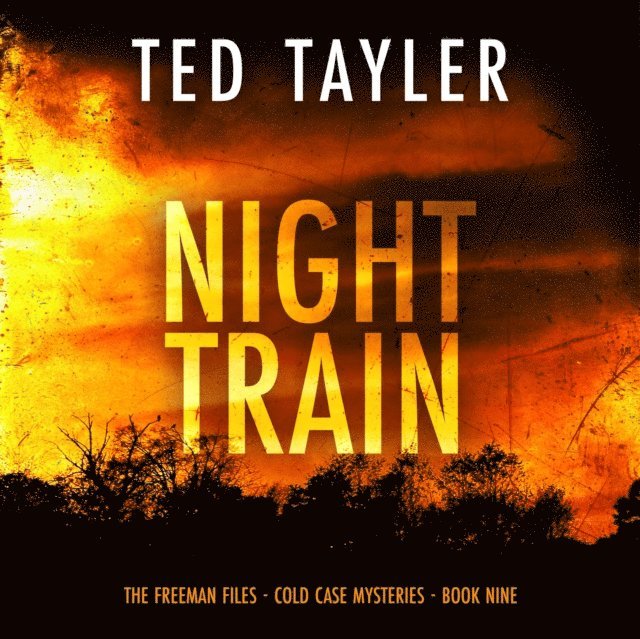 Ted Tayler - Night Train, Ljudbok