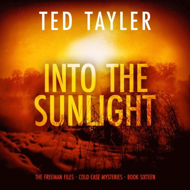 Ted Tayler - Into the Sunlight, Ljudbok