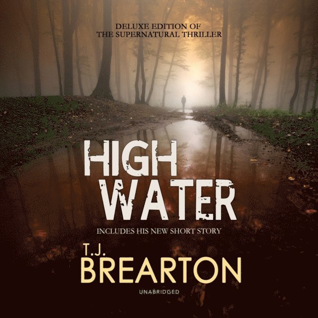 T. J. Brearton - Highwater, Ljudbok