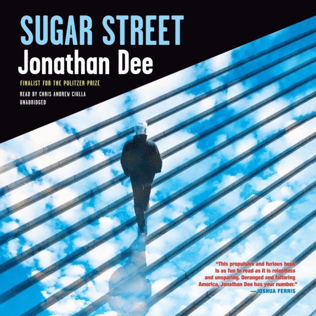 Jonathan Dee - Sugar Street, Ljudbok
