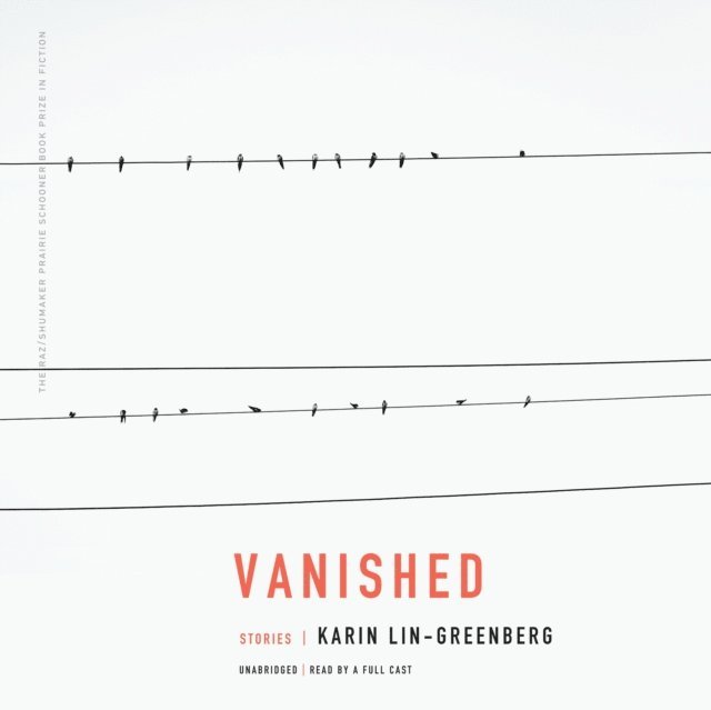 Karin Lin-Greenberg - Vanished, Ljudbok