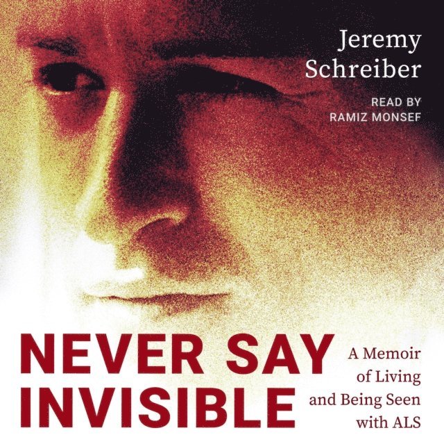 Jeremy Schreiber - Never Say Invisible, Ljudbok