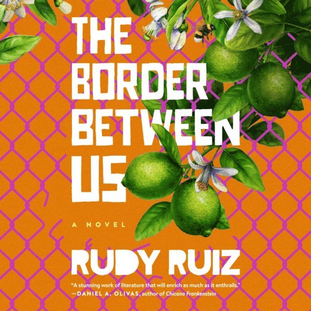 Rudy Ruiz - Border Between Us, Ljudbok