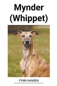 Mynder (Whippet)