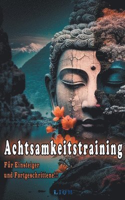 Liom Liom - Achtsamkeitstraining, Häftad. Tillgänglighet: Lägg i varukorg