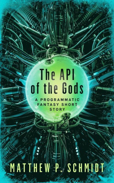 Matthew Schmidt - API of the Gods, E-bok