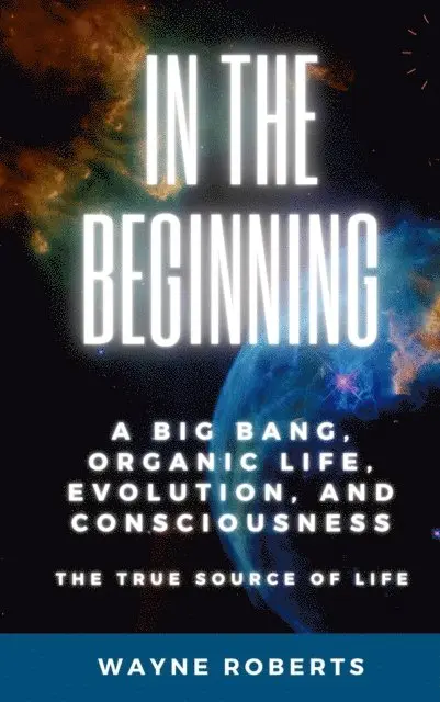 Wayne Roberts - In the Beginning, E-bok. Tillgänglighet: Lägg i varukorg