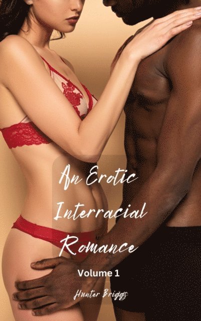 Hunter Briggs - Erotic Interracial Romance: Volume 1, E-bok