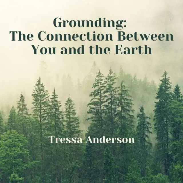 Tressa Anderson - Grounding: The Connection Between You and the Earth, E-bok. Tillgänglighet: Lägg i varukorg