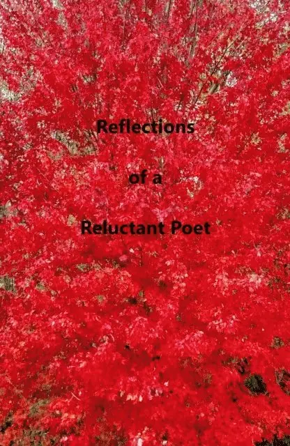 Flash - Reflections of a Reluctant Poet, E-bok. Tillgänglighet: Lägg i varukorg