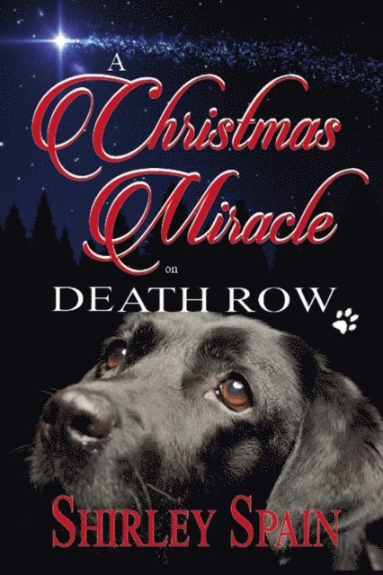 Shirley Spain - Christmas Miracle on Death Row, E-bok