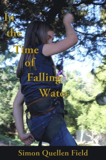 Simon Quellen Field - In the Time of Falling Water, E-bok