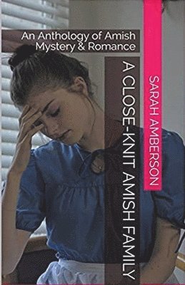 Sarah Amberson - Close-Knit Amish Family, Häftad