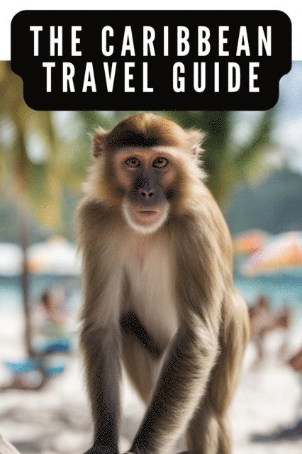 TravelMagma - Caribbean Travel Guide - Explore the Caribbean Islands, E-bok