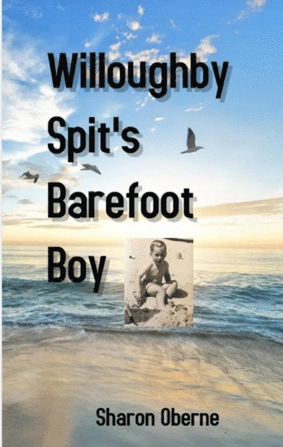 Sharon Oberne, Joseph Warren Brown - Willoughby Spit's Barefoot Boy, E-bok