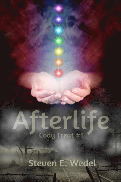 Steven E. Wedel - Afterlife, E-bok