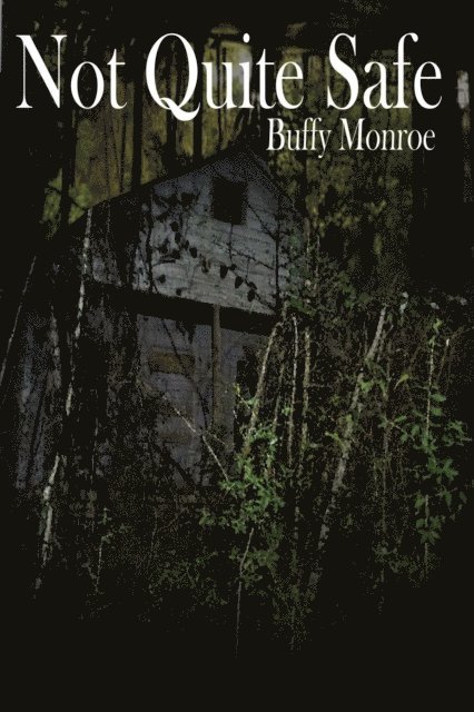 Buffy Monroe - Not Quite Safe, E-bok