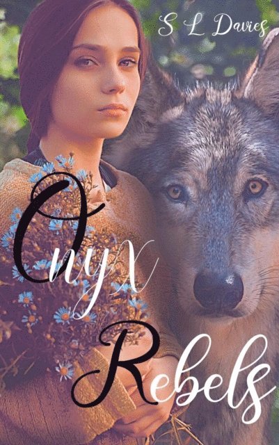 S L Davies - Onyx Rebels Prologue, E-bok
