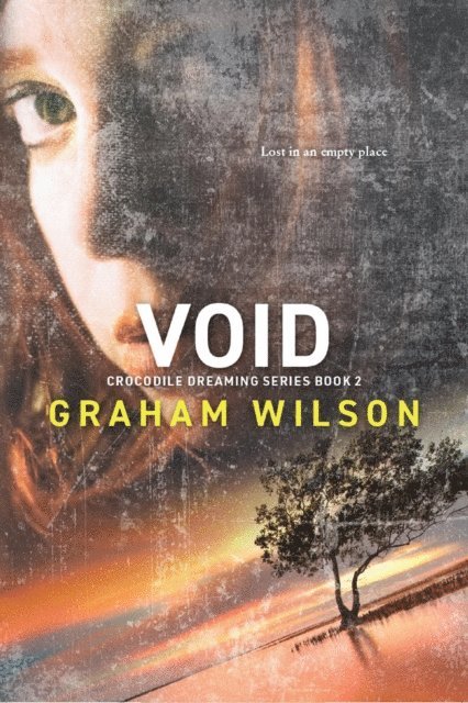 Graham Wilson - Void, E-bok