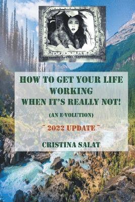 Cristina Salat - How To Get Your Life Working When It's Really Not! (An E-volution), Häftad. Tillgänglighet: Lägg i varukorg