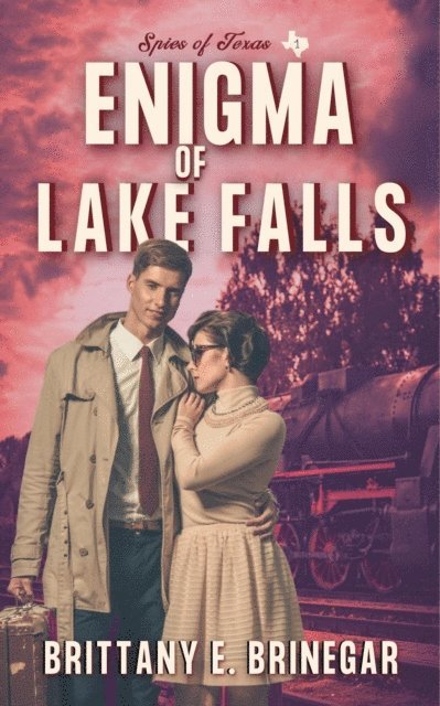 Brittany E. Brinegar - Enigma of Lake Falls, E-bok