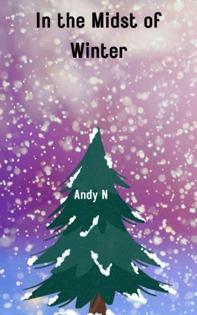 Andy N - In the Midst of Winter, E-bok