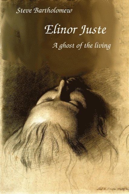 Steve Bartholomew - Elinor Juste a Ghost of the Living, E-bok