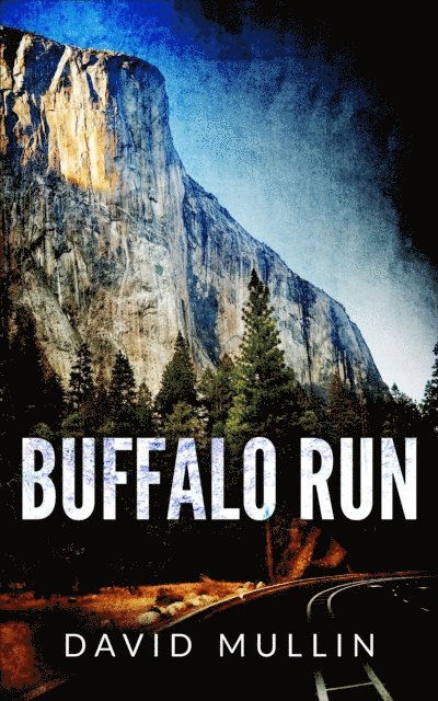 David Mullin - Buffalo Run, E-bok