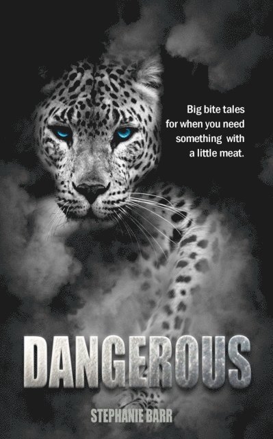Stephanie Barr - Dangerous, E-bok. Tillgänglighet: Lägg i varukorg