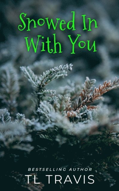 TL Travis - Snowed In With You, E-bok