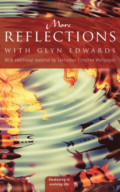 Santoshan (Stephen Wollaston), Glyn Edwards - More Reflections with Glyn Edwards: With Additional Material by Santoshan (Stephen Wollaston), E-bok